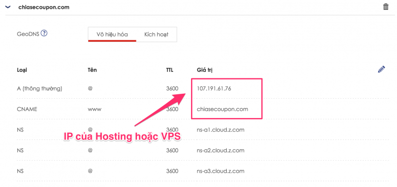 Mau DNS so 1 - Tro ve Hosting hoac VPS