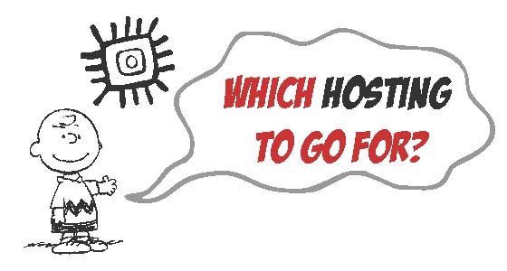which-hosting-to-go-for