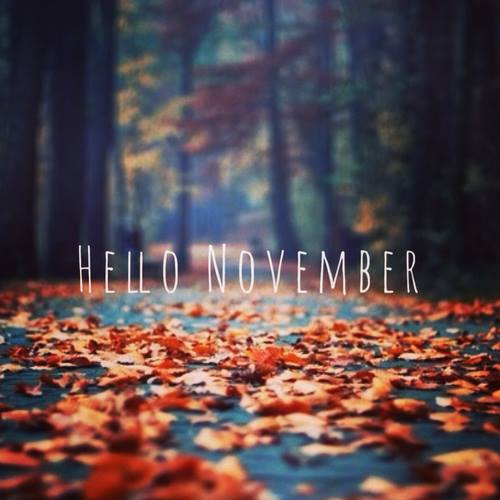 namecheap hello november