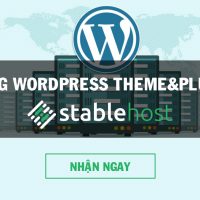 StableHost Coupon tháng 6 – Giảm 50% trọn đời (có quà đi kèm)
